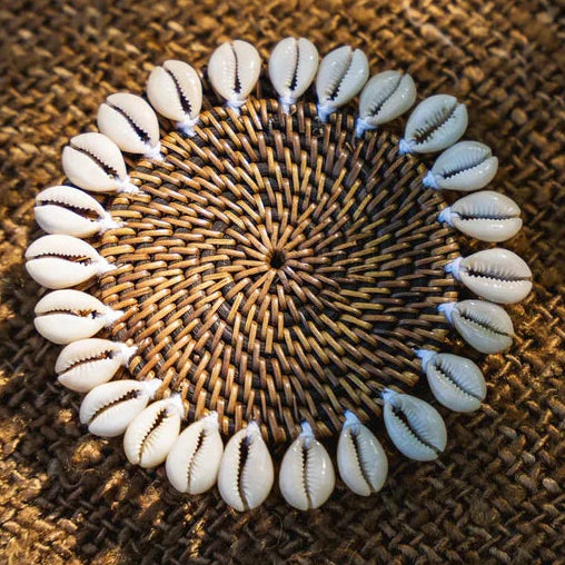 Natural Shell Coaster
